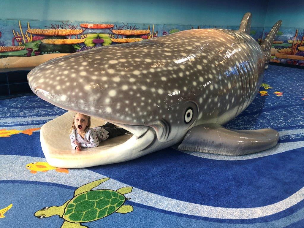 Free Playground at the Denver Aquarium?! Slides and Sunshine