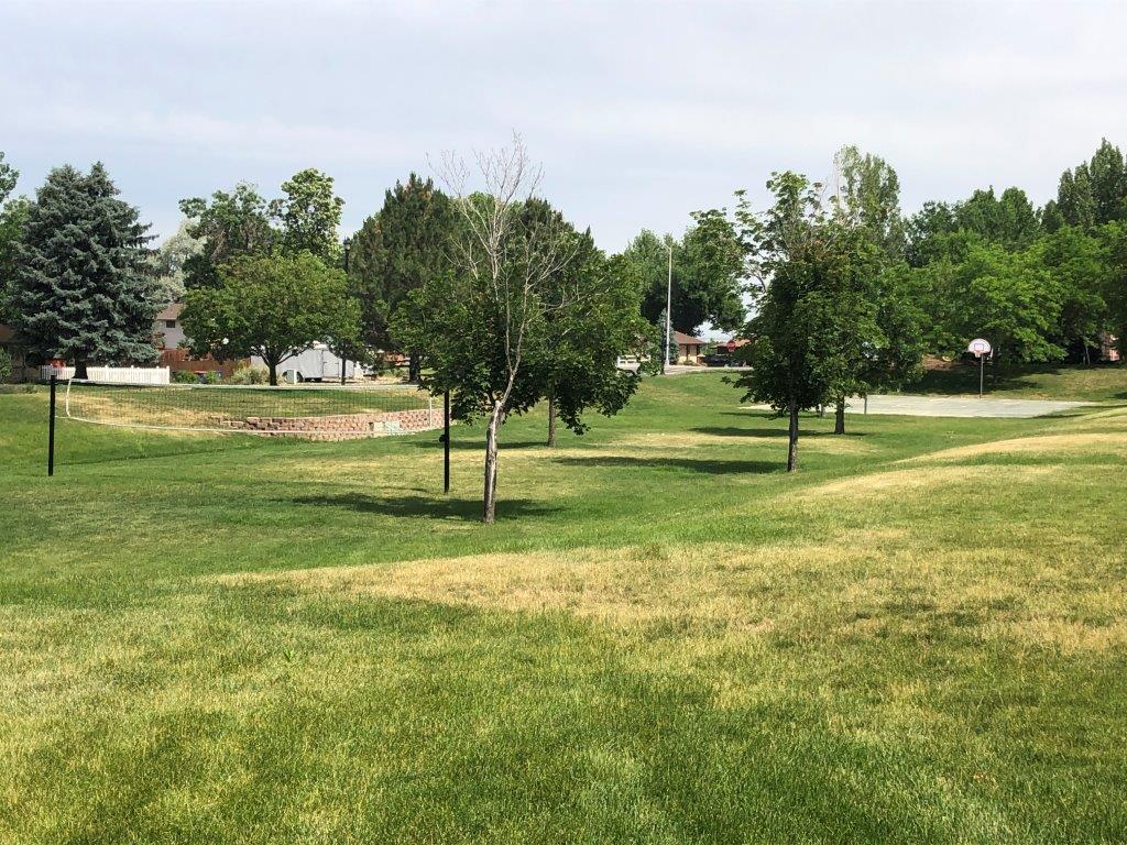 Volleyball and basketball courts at Hart Park