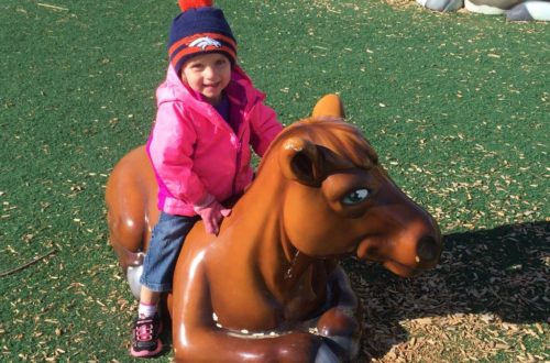 Sandstone Ranch park playground Longmont Colorado girl sitting on horse
