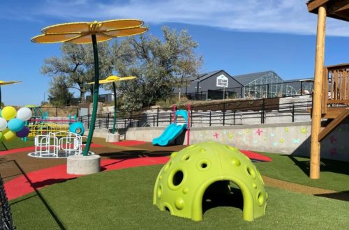 LuBirds Light Inclusive Playground in Aurora