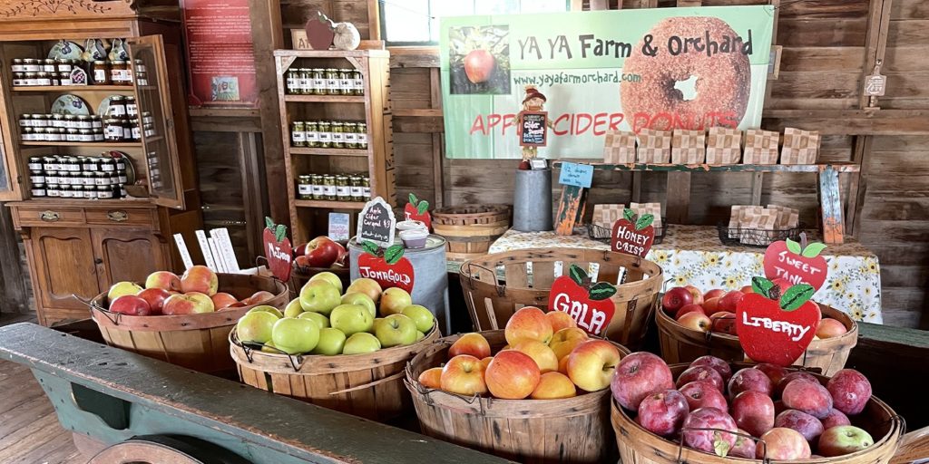 Ya Ya Farm and Orchard in Longmont Colorado