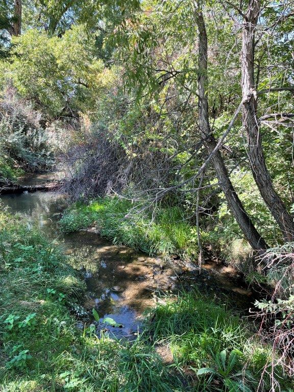 Ralston Valley Creek