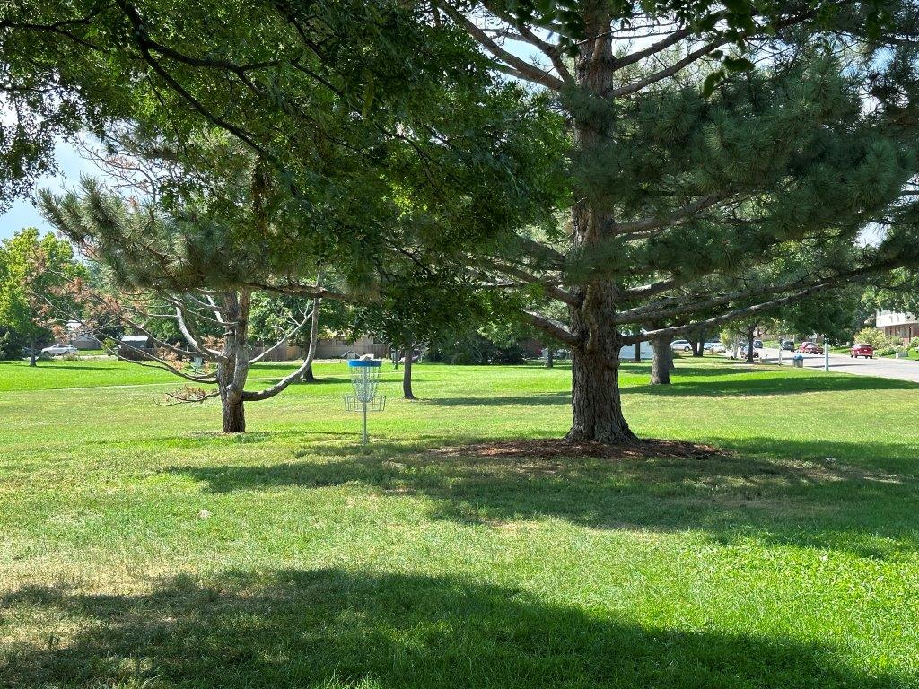 Disc Golf at Loomiller Park in Longmont Colorado