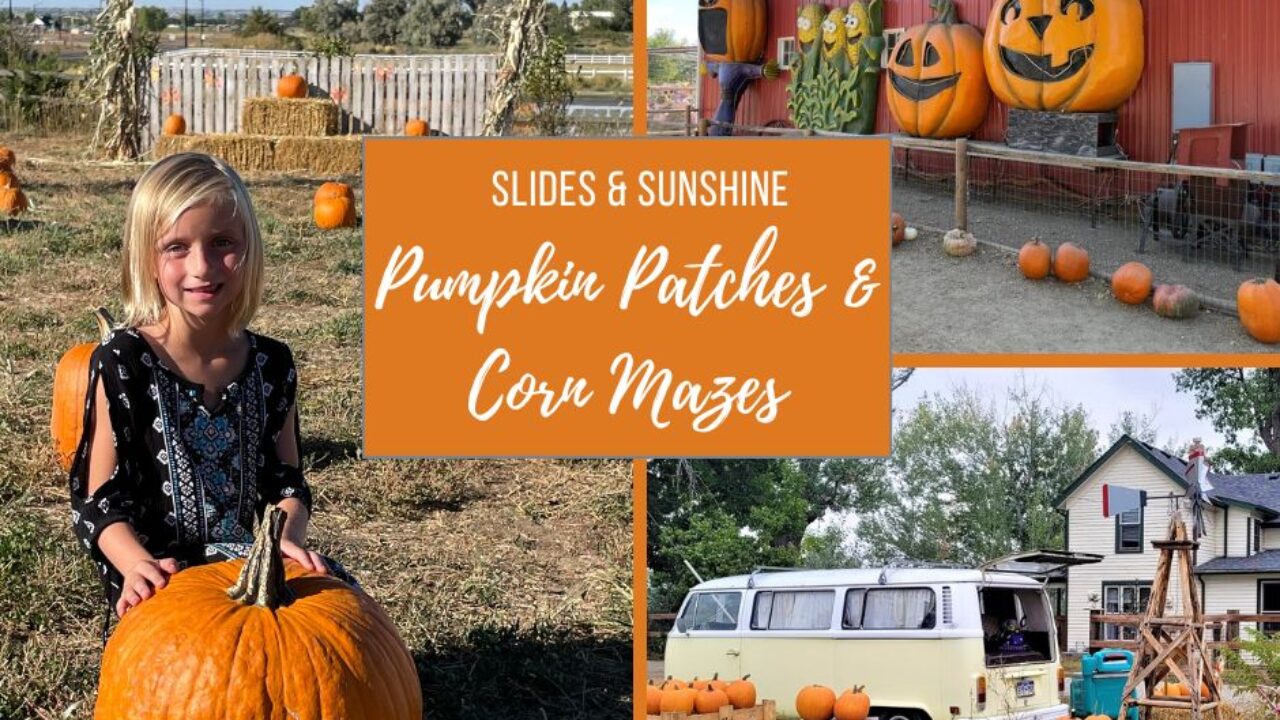 LIST: Pumpkin Patches in the valley