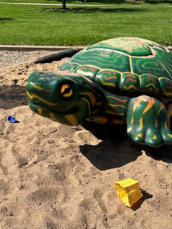 turtle in a sandbox