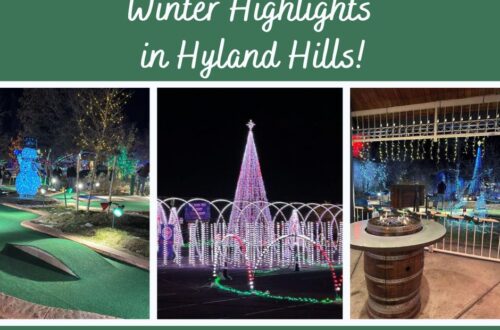 Hyland Hills winter