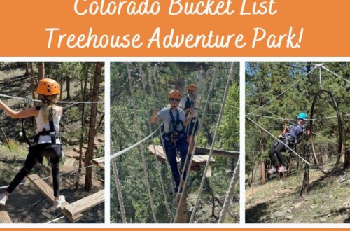 Treehouse Adventure Park Bailey CO