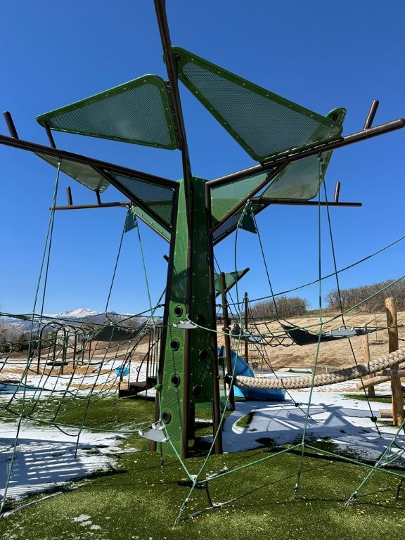 Grey Hawk Park in Colorado Springs branch out