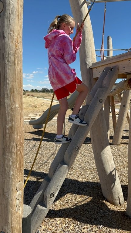 birdsong park windsor colorado