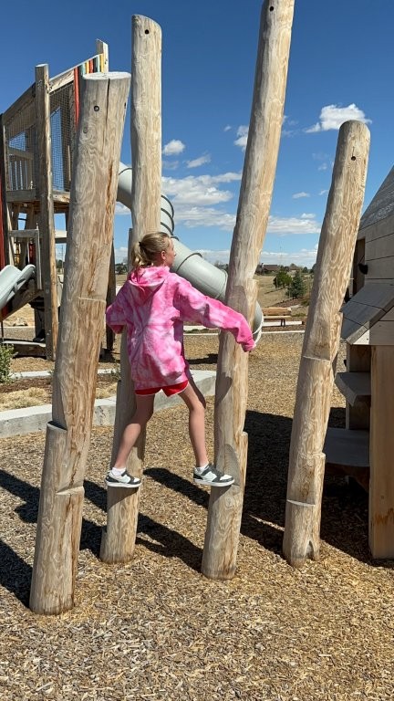 birdsong park windsor colorado