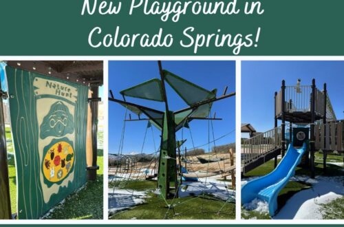 colorado springs grey hawk park